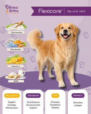 FLEXICORE Hip & Joint