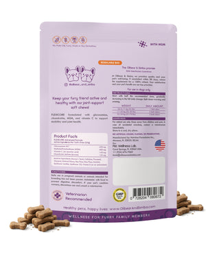 FLEXICORE Hip & Joint