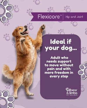 FLEXICORE Hip & Joint